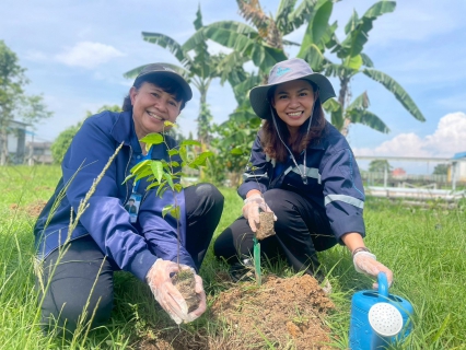 ไฟล์แนบ กปภ.สาขาหาดใหญ่(พ) ร่วมกิจกรรมโครงการ กปภ.ปลูกป่าเพื่อแผ่นดิน เทิดพระเกียรติพระบาทสมเด็จพระบรมชนกาธิเบศร มหาภูมิพลอดุลยเดชมหาราช บรมนาถบพิตร (Fathers Land) ปี 2568 