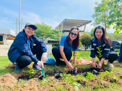 ไฟล์แนบ กปภ.สาขาหาดใหญ่(พ) ร่วมกิจกรรมโครงการ กปภ.ปลูกป่าเพื่อแผ่นดิน เทิดพระเกียรติพระบาทสมเด็จพระบรมชนกาธิเบศร มหาภูมิพลอดุลยเดชมหาราช บรมนาถบพิตร (Fathers Land) ปี 2568 