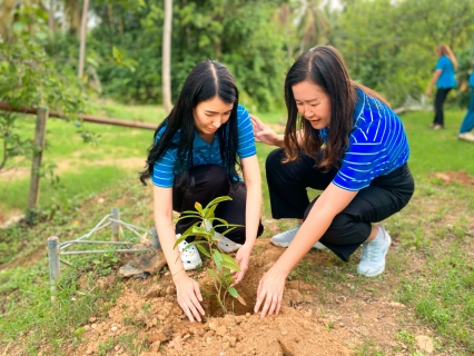 ไฟล์แนบ การประปาส่วนภูมิภาคสาขากุยบุรี ดำเนินโครงการปลูกป่าเพื่อแผ่นดิน เทิดพระเกียรติพระบาทสมเด็จพระบรมชนกาธิเบศร มหาภูมิพลอดุลยเดชมหาราช บรมนาถบพิตร (Father's Land) ประจำปี 2568 และวันต้นไม้ประจำปีของชาติ พ.ศ.2568 