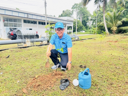 ไฟล์แนบ กปภ.สาขาตะกั่วป่า จัดกิจกรรมโครงการ กปภ.ปลูกป่าเพื่อแผ่นดิน เทิดพระเกียรติพระบาทสมเด็จพระบรมชนกาธิเบศร มหาภูมิพลอดุลยเดชมหาราช บรมนาถบพิตร (Fathers Land) ปี 2568