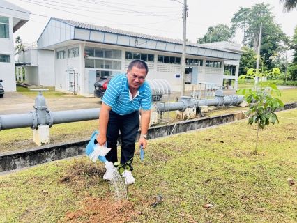 ไฟล์แนบ กปภ.สาขาตะกั่วป่า จัดกิจกรรมโครงการ กปภ.ปลูกป่าเพื่อแผ่นดิน เทิดพระเกียรติพระบาทสมเด็จพระบรมชนกาธิเบศร มหาภูมิพลอดุลยเดชมหาราช บรมนาถบพิตร (Fathers Land) ปี 2568
