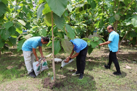 ไฟล์แนบ การประปาส่วนภูมิภาคสาขาปทุมธานี(ชั้นพิเศษ) จัดโครงการ กปภ.ปลูกป่าเพื่อแผ่นดิน เทิดพระเกียรติพระบาทสมเด็จพระบรมชนกาธิเบศร มหาภูมิพลอดุลยเดชมหาราช บรมนาถบพิตร (Father's Land) ประจำปี 2568