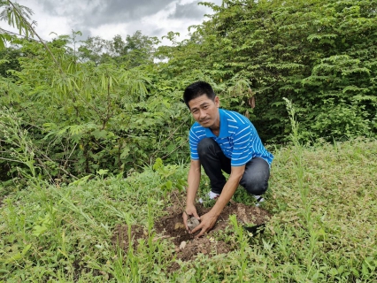 ไฟล์แนบ กปภ.สาขาหลังสวน ดำเนินโครงการ กปภ.ปลูกป่าเพื่อแผ่นดิน เทิดพระเกียรติพระบาทสมเด็จพระบรมชนกาธิเบศร มหาภูมิพลอดุลยเดชมหาราช บรมนาถบพิตร (Fathers Land) ปี 2568 