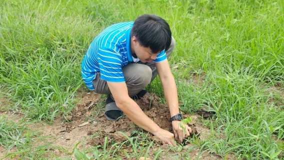 ไฟล์แนบ การประปาส่วนภูมิภาค สาขาหนองไผ่จัดกิจกรรม "ปลูกป่าเพื่อแผ่นดิน" เฉลิมพระเกียรติพระบาทสมเด็จพระบรมชนกาธิเบศรฯ