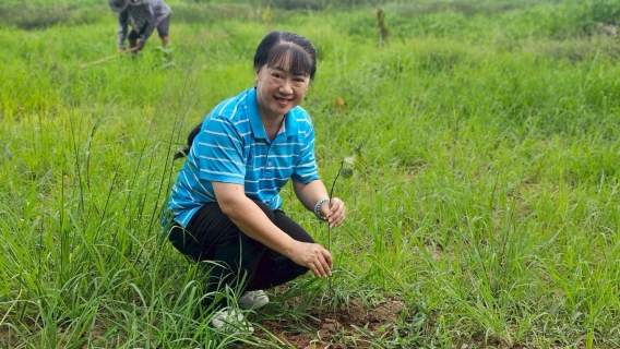 ไฟล์แนบ การประปาส่วนภูมิภาค สาขาหนองไผ่จัดกิจกรรม "ปลูกป่าเพื่อแผ่นดิน" เฉลิมพระเกียรติพระบาทสมเด็จพระบรมชนกาธิเบศรฯ