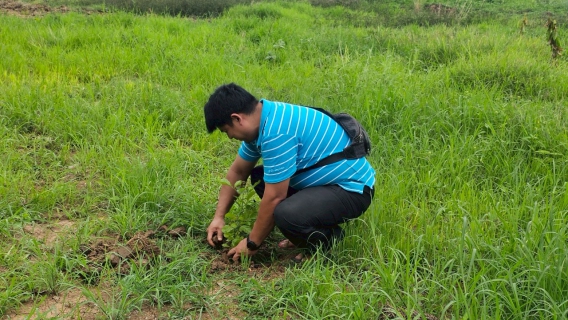 ไฟล์แนบ การประปาส่วนภูมิภาค สาขาหนองไผ่จัดกิจกรรม "ปลูกป่าเพื่อแผ่นดิน" เฉลิมพระเกียรติพระบาทสมเด็จพระบรมชนกาธิเบศรฯ