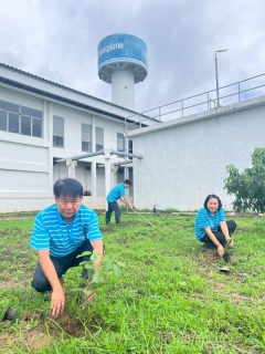 ไฟล์แนบ เมื่อวันที่ 16 พฤษภาคม 2568 กปภ.สาขาแม่สาย ดำเนินกิจกรรมตามโครงการปลูกป่าเพื่อแผ่นดินเทิดพระเกียรติพระบาทสมเด็จพระบรมชนกาธิเบศร มหาภูมิพลอดุลยเดชมหาราช บรมนาถบพิตร (Father's Land) ประจำปี 2568