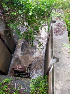 ไฟล์แนบ กปภ.สาขาท่าตะโก เฝ้าติดตามสถานการณ์ ปริมาณน้ำฝน ณ หน่วยบริการหนองบัว