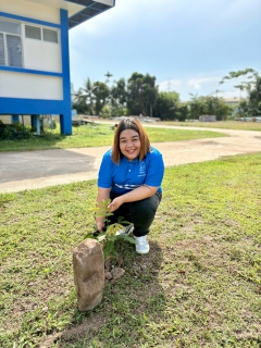 ไฟล์แนบ การประปาส่วนภูมิภาคสาขานาทวี ดำเนินโครงการ กปภ.ปลูกป่าเพื่อแผ่นดิน เทิดพระเกียรติพระบาทสมเด็จพระบรมชนกาธิเบศร มหาภูมิพลอดุลยเดชมหาราช บรมนาถบพิตร (Father's Land) ปี 2568 เนื่องในวันต้นไม้ประจำปีของชาติ