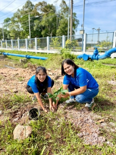 ไฟล์แนบ การประปาส่วนภูมิภาคสาขานาทวี ดำเนินโครงการ กปภ.ปลูกป่าเพื่อแผ่นดิน เทิดพระเกียรติพระบาทสมเด็จพระบรมชนกาธิเบศร มหาภูมิพลอดุลยเดชมหาราช บรมนาถบพิตร (Father's Land) ปี 2568 เนื่องในวันต้นไม้ประจำปีของชาติ