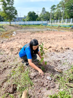 ไฟล์แนบ การประปาส่วนภูมิภาคสาขานาทวี ดำเนินโครงการ กปภ.ปลูกป่าเพื่อแผ่นดิน เทิดพระเกียรติพระบาทสมเด็จพระบรมชนกาธิเบศร มหาภูมิพลอดุลยเดชมหาราช บรมนาถบพิตร (Father's Land) ปี 2568 เนื่องในวันต้นไม้ประจำปีของชาติ