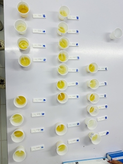 ไฟล์แนบ กปภ.สาขาตะกั่วป่า เข้ารับการตรวจหาสารเสพติด ในโครงการโรงงานสีขาว