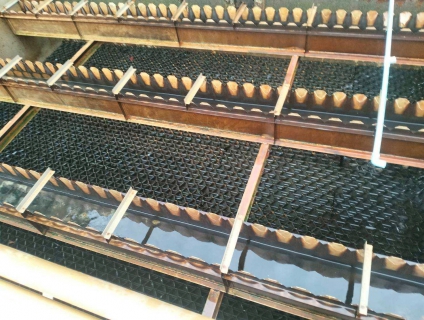 ไฟล์แนบ การประปาส่วนภูมิภาคสาขาตราด ดำเนินการล้างถังตกตะกอน สถานีผลิตน้ำบ่อไร่