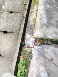 ไฟล์แนบ วันที่ 23 มิถุนายน 2568 การประปาส่วนภูมิภาคสาขาเขาชัยสน นำโดย นายณัฐยุทธ โชโต ผู้จัดการ พร้อมด้วยหัวหน้างานและพนักงานในสังกัด เดินสำรวจหาท่อรั่ว หลังจากการดำเนินการทำ STEP TEST DAY พื้นที่ ในพื้นที่ DMA - 03 บางแก้ว ฝั่งซ้าย (โซนรถไฟ)