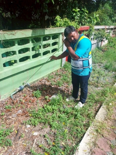 ไฟล์แนบ วันที่ 23 มิถุนายน 2568 การประปาส่วนภูมิภาคสาขาเขาชัยสน นำโดย นายณัฐยุทธ โชโต ผู้จัดการ พร้อมด้วยหัวหน้างานและพนักงานในสังกัด เดินสำรวจหาท่อรั่ว หลังจากการดำเนินการทำ STEP TEST DAY พื้นที่ ในพื้นที่ DMA - 03 บางแก้ว ฝั่งซ้าย (โซนรถไฟ)