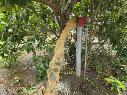 ไฟล์แนบ กปภ.สาขาบางสะพาน ดำเนินการตามแผนปฏิบัติการโครงการจัดการน้ำสะอาดและการบำรุงรักษาเชิงป้องกัน WSP&PMและกิจกรรม 5ส. ประจำเดือน มิถุนายน 2568