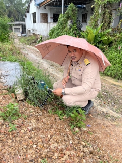 ไฟล์แนบ กปภ.สาขาหลังสวน นำทีมลงพื้นที่ตรวจวัดแรงดันน้ำ หน้ามาตร ในพื้นที่ อำเภอสวี อำเภอหลังสวน อำเภอละแม และอำเภอทุ่งตะโก จังหวัดชุมพร