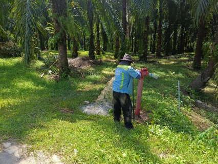 ไฟล์แนบ กปภ.สาขาคลองท่อมดำเนินการเปิดล้างระบายตะกอนในเส้นท่อจ่ายน้ำ (Blow off) ผ่านหัวดับเพลิง