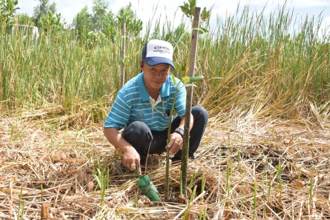 ไฟล์แนบ กปภ.สาขาระยอง ร่วมกิจกรรมปลูกป่าชายเลนและปล่อยพันธุ์ปู