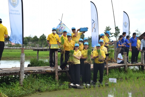 ไฟล์แนบ กปภ.สาขาระยอง ร่วมกิจกรรมจิตอาสา "ปลูกวันแม่ เกี่ยวันพ่อ"