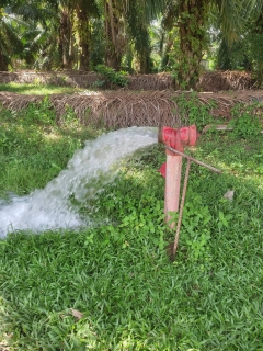 ไฟล์แนบ กปภ.สาขาคลองท่อมดำเนินการเปิดล้างระบายตะกอนในเส้นท่อจ่ายน้ำ (Blow off) ผ่านหัวดับเพลิง