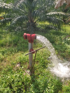 ไฟล์แนบ กปภ.สาขาคลองท่อมดำเนินการเปิดล้างระบายตะกอนในเส้นท่อจ่ายน้ำ (Blow off) ผ่านหัวดับเพลิง