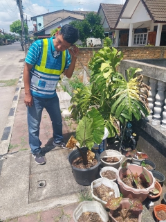 ไฟล์แนบ กปภ.สาขาเขาชัยสน นำโดย นายณัฐยุทธ โชโต ผจก. กปภ.สาขาเขาชัยสน พร้อมด้วยพนักงานในสังกัด จัดกิจกรรม เดินสำรวจหาท่อรั่วเชิงรุก เมื่อวันที่ 11 กันยายน 2568  ในพื้นที่ DMA-03 : จ่ายน้ำพื้นที่ อ.บางแก้วฝั่งซ้าย (ทางรถไฟ) อ.บางแก้ว จ.พัทลุง  