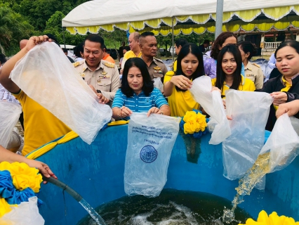 ไฟล์แนบ การประปาส่วนภูมิภาคสาขากาญจนดิษฐ์  เข้าร่วมพิธีปล่อยพันธุ์สัตว์น้ำ เนื่องในวันประมงแห่งชาติ ประจำปี 2568 พร้อมสนับสนุนน้ำดื่มบรรจุขวด