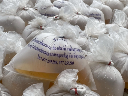 ไฟล์แนบ การประปาส่วนภูมิภาคสาขากาญจนดิษฐ์  เข้าร่วมพิธีปล่อยพันธุ์สัตว์น้ำ เนื่องในวันประมงแห่งชาติ ประจำปี 2568 พร้อมสนับสนุนน้ำดื่มบรรจุขวด