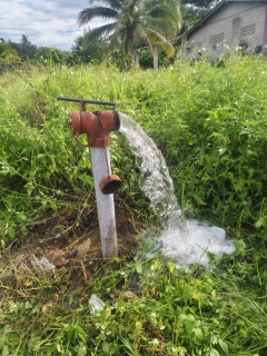ไฟล์แนบ กปภ.สาขาบางสะพาน ดำเนินการตามแผนปฏิบัติการโครงการจัดการน้ำสะอาดและการบำรุงรักษาเชิงป้องกัน WSP&PMและกิจกรรม 5ส. ประจำเดือน สิงหาคม 2568