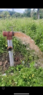 ไฟล์แนบ กปภ.สาขาบางสะพาน ดำเนินการตามแผนปฏิบัติการโครงการจัดการน้ำสะอาดและการบำรุงรักษาเชิงป้องกัน WSP&PMและกิจกรรม 5ส. ประจำเดือน สิงหาคม 2568