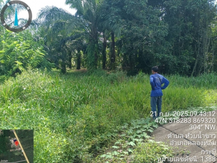 ไฟล์แนบ กปภ.สาขาคลองท่อม ลงพื้นที่สำรวจเพื่อค้นหาท่อแตก-รั่ว 