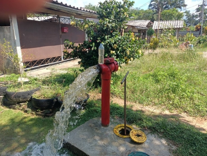 ไฟล์แนบ กปภ.สาขาคลองท่อม นำทีมลงพื้นที่ ตำบลคลองพน อำเภอคลองท่อม จังหวัดกระบี่ ดำเนินการเปิดล้างระบายตะกอนในเส้นท่อจ่ายน้ำ (Blow off) ผ่านหัวดับเพลิง