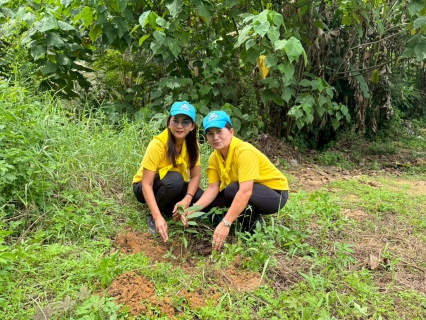 ไฟล์แนบ กปภ.สาขากาญจนดิษฐ์ เข้าร่วมกิจกรรม"จิตอาสาพัฒนาและปลูกต้นไม้ เนื่องในโอกาสวันสวรรคตพระบาทสมเด็จพระบรมชนกาธิเบศร มหาภูมิพลอดุลยเดชมหาราช บรมนาถบพิตร 13 ตุลาคม 2568