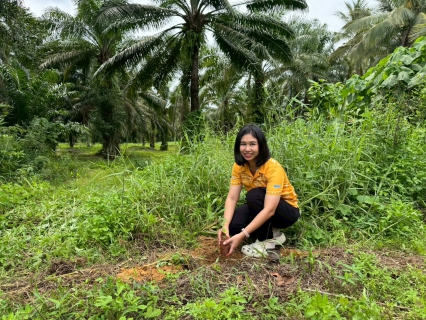 ไฟล์แนบ กปภ.สาขากาญจนดิษฐ์ เข้าร่วมกิจกรรม"จิตอาสาพัฒนาและปลูกต้นไม้ เนื่องในโอกาสวันสวรรคตพระบาทสมเด็จพระบรมชนกาธิเบศร มหาภูมิพลอดุลยเดชมหาราช บรมนาถบพิตร 13 ตุลาคม 2568