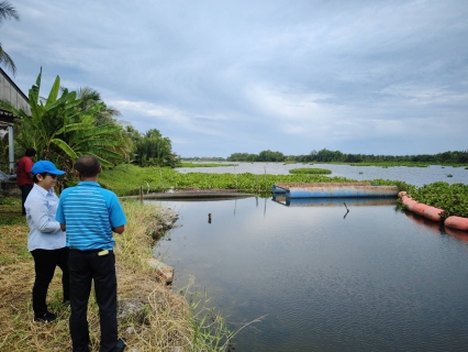 ไฟล์แนบ กปภ.สาขาปากพนัง ลงพื้นที่เพื่อติดตามและประเมินสถานการณ์และเตรียมความพร้อมในการรับมืออุทกภัย ณ โรงสูบน้ำแรงต่ำบ้านสองพี่น้อง ต.หูล่อง อ.ปากพนัง จ.นครศรีธรรมราช
