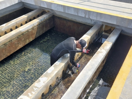 ไฟล์แนบ การประปาส่วนภูมิภาคสาขากุยบุรี ล้างถังตกตะกอนตามแผนงาน โครงการ "การบริหารจัดการน้ำสะอาด" (WSP)