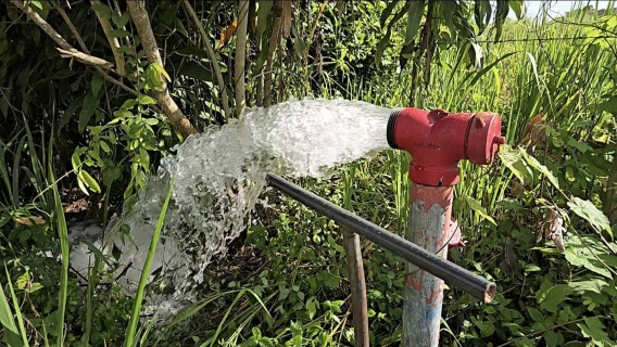ไฟล์แนบ การประปาส่วนภูมิภาคสาขาบางสะพาน ลงพื้นที่ดำเนินการโบล์วระบายตะกอนในเส้นท่อ ในบริเวณพื้นที่ตำบลพงศ์ประศาสน์  จังหวัดประจวบคีรีขันธ์