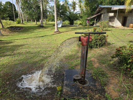 ไฟล์แนบ การประปาส่วนภูมิภาคสาขาบางสะพาน ลงพื้นที่ดำเนินการโบล์วระบายตะกอนในเส้นท่อ ในบริเวณพื้นที่ตำบลพงศ์ประศาสน์  จังหวัดประจวบคีรีขันธ์