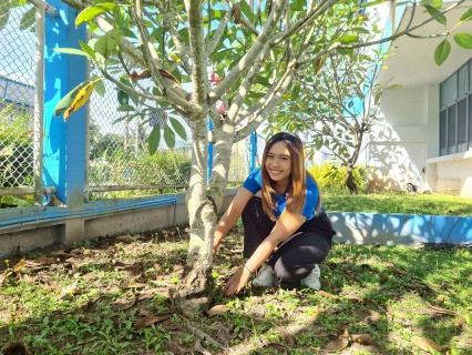 ไฟล์แนบ กปภ.สาขาระนอง จัดกิจกรรม วันรักต้นไม้ประจำปีของชาติ พ.ศ.2568 เพื่อน้อมรำลึกถึงพระมหากรุณาธิคุณของสมเด็จพระศรีนครินทราบรมราชชนนี