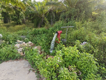 ไฟล์แนบ กปภ.สาขาหลังสวน รักษาคุณภาพน้ำประปาใสสะอาด ดำเนินการตามแผนระบายตะกอนในเส้นท่อ ประจำเดือน ตุลาคม 2568 ณ อำเภอหลังสวน อำเภอละแม อำเภอทุ่งตะโก และอำเภอสวี จังหวัดชุมพร