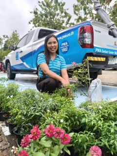 ไฟล์แนบ การประปาส่วนภูมิภาคสาขาพัทลุง ร่วมกิจกรรม วันรักต้นไม้ประจำปีของชาติ พ.ศ. 2568