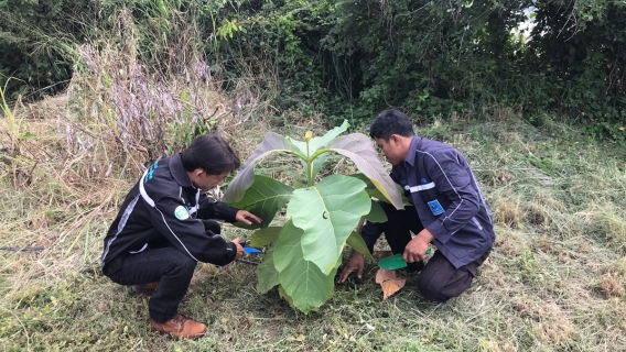 ไฟล์แนบ กปภ.สาขาพัทยา(พ) จัดกิจกรรมวันรักต้นไม้ประจำปีของชาติ พ.ศ.2568