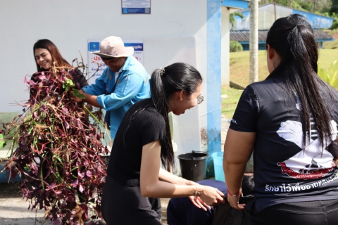 ไฟล์แนบ กปภ.สาขาภูเก็ต จัดกิจกรรม 5 ส. Big Cleaning Day ครั้งที่ 1/2569