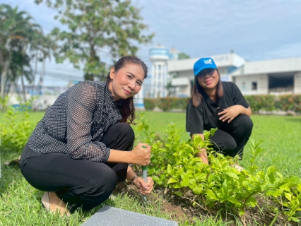 ไฟล์แนบ  กปภ.สาขาหาดใหญ่ (พ) จัดกิจกรรม  วันรักต้นไม้ประจำปีของชาติประจำปี 2568