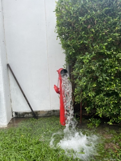 ไฟล์แนบ กปภ.ภูเก็ต นำทีมลงพื้นที่ บริเวณหมู่บ้านโมโนป่าหลาย ต.ฉลอง อ. เมือง จ.ภูเก็ต ดำเนินการระบายตะกอนในเส้นท่อจ่ายน้ำ (Blow off)