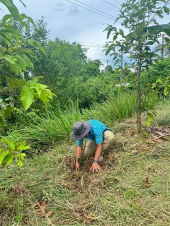 ไฟล์แนบ กปภ.สาขานราธิวาส จัดกิจกรรมปลูกต้นไม้ เนื่องในวันรักต้นไม้ประจำปีของชาติ พ.ศ.2568
