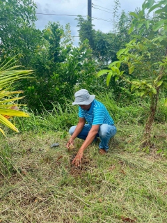 ไฟล์แนบ กปภ.สาขานราธิวาส จัดกิจกรรมปลูกต้นไม้ เนื่องในวันรักต้นไม้ประจำปีของชาติ พ.ศ.2568