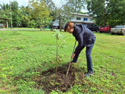 ไฟล์แนบ กปภ.สาขาขนอม จัดกิจกรรม วันรักต้นไม้ประจำปีของชาติ พ.ศ. 2568 เพื่อสืบสานเจตนารมณ์อนุรักษ์ทรัพยากรธรรมชาติ 