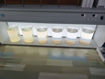 ไฟล์แนบ กปภ.สาขาระนอง ลงพื้นที่ตรวจสอบคุณภาพน้ำ สร้างความเชื่อมั่นกระบวนการผลิตน้ำประปา ประจำเดือน ตุลาคม 2568